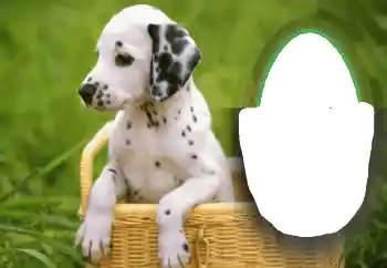 Εφέ φωτογραφιών στην κατηγορία Διαφορετικές № 68648