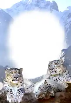 Εφέ φωτογραφιών στην κατηγορία Διαφορετικές № 68679