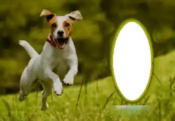 Εφέ φωτογραφιών στην κατηγορία Διαφορετικές № 68744 Εφέ φωτογραφιών στην κατηγορία Διαφορετικές № 68744