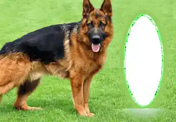 Εφέ φωτογραφιών στην κατηγορία Διαφορετικές № 68745 Εφέ φωτογραφιών στην κατηγορία Διαφορετικές № 68745