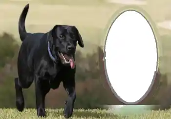 Εφέ φωτογραφιών στην κατηγορία Διαφορετικές № 68746 Εφέ φωτογραφιών στην κατηγορία Διαφορετικές № 68746