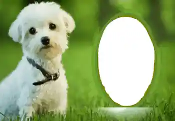 Εφέ φωτογραφιών στην κατηγορία Διαφορετικές № 68748 Εφέ φωτογραφιών στην κατηγορία Διαφορετικές № 68748