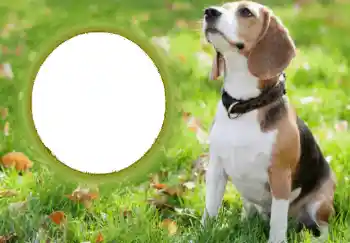 Εφέ φωτογραφιών στην κατηγορία Διαφορετικές № 68749 Εφέ φωτογραφιών στην κατηγορία Διαφορετικές № 68749