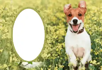 Εφέ φωτογραφιών στην κατηγορία Διαφορετικές № 68750 Εφέ φωτογραφιών στην κατηγορία Διαφορετικές № 68750