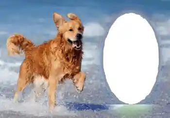 Εφέ φωτογραφιών στην κατηγορία Διαφορετικές № 68751 Εφέ φωτογραφιών στην κατηγορία Διαφορετικές № 68751