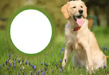 Εφέ φωτογραφιών στην κατηγορία Διαφορετικές № 68752 Εφέ φωτογραφιών στην κατηγορία Διαφορετικές № 68752