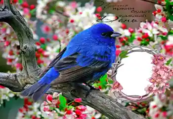 Η επιγραφή στην κορνίζα: Пусть ярким будет каждый День...