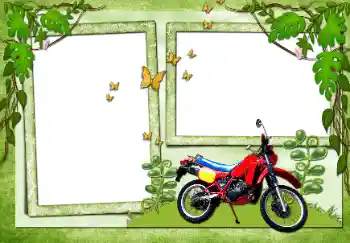 Εφέ φωτογραφιών στην κατηγορία Διαφορετικές № 72138