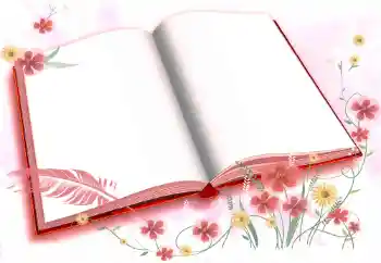 Εφέ φωτογραφιών στην κατηγορία Διαφορετικές № 72457