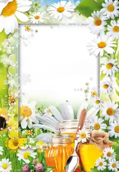 Εφέ φωτογραφιών στην κατηγορία Διαφορετικές № 73499