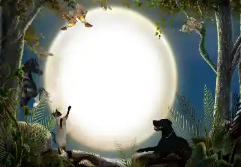 Εφέ φωτογραφιών στην κατηγορία Διαφορετικές № 7470