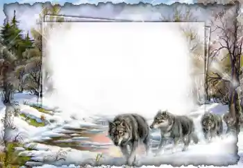 Εφέ φωτογραφιών στην κατηγορία Διαφορετικές № 7512