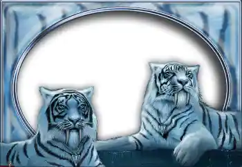 Εφέ φωτογραφιών στην κατηγορία Διαφορετικές № 7517