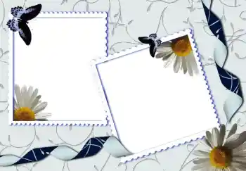 Εφέ φωτογραφιών στην κατηγορία Διαφορετικές № 80319