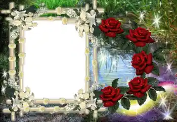 Εφέ φωτογραφιών στην κατηγορία Διαφορετικές № 80386