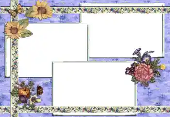 Εφέ φωτογραφιών στην κατηγορία Διαφορετικές № 81614