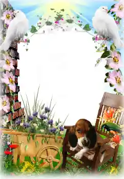 Εφέ φωτογραφιών στην κατηγορία Διαφορετικές № 81633