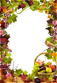 Εφέ φωτογραφιών στην κατηγορία Διαφορετικές № 81650