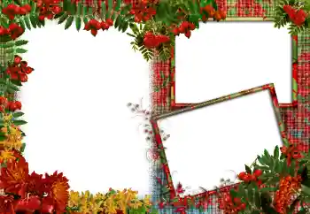 Εφέ φωτογραφιών στην κατηγορία Διαφορετικές № 83986