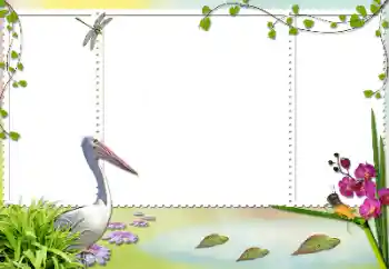 Εφέ φωτογραφιών στην κατηγορία Διαφορετικές № 84103