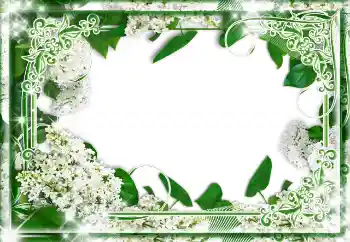 Εφέ φωτογραφιών στην κατηγορία Διαφορετικές № 85233