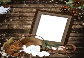 Εφέ φωτογραφιών στην κατηγορία Διαφορετικές № 8587