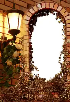 Εφέ φωτογραφιών στην κατηγορία Διαφορετικές № 8595