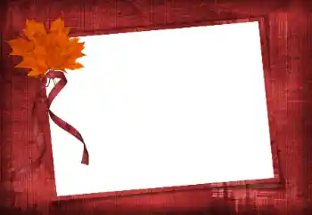 Εφέ φωτογραφιών στην κατηγορία Διαφορετικές № 86582