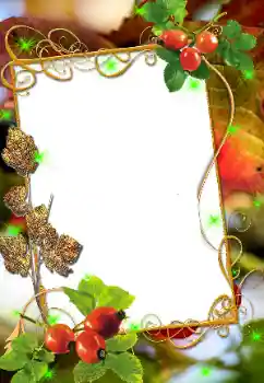 Εφέ φωτογραφιών στην κατηγορία Διαφορετικές № 8676