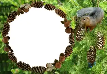 Εφέ φωτογραφιών στην κατηγορία Διαφορετικές № 8682