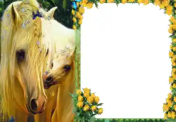 Εφέ φωτογραφιών στην κατηγορία Διαφορετικές № 87686 Εφέ φωτογραφιών στην κατηγορία Διαφορετικές № 87686