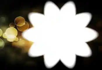 Εφέ φωτογραφιών στην κατηγορία Διαφορετικές № 88034 Εφέ φωτογραφιών στην κατηγορία Διαφορετικές № 88034