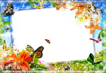 Εφέ φωτογραφιών στην κατηγορία Διαφορετικές № 89452