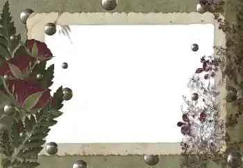 Εφέ φωτογραφιών στην κατηγορία Διαφορετικές № 89455