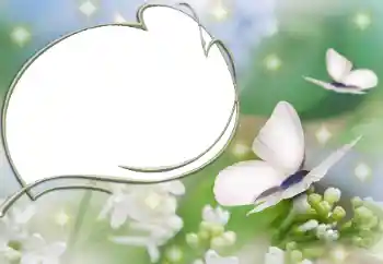 Εφέ φωτογραφιών στην κατηγορία Διαφορετικές № 90527