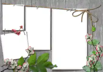 Εφέ φωτογραφιών στην κατηγορία Διαφορετικές № 91740