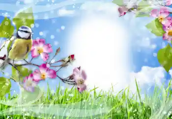 Εφέ φωτογραφιών στην κατηγορία Διαφορετικές № 91774