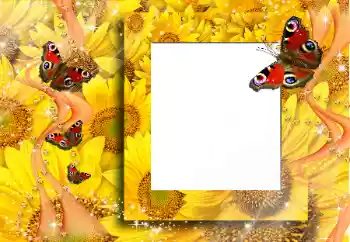 Εφέ φωτογραφιών στην κατηγορία Διαφορετικές № 91829 Εφέ φωτογραφιών στην κατηγορία Διαφορετικές № 91829