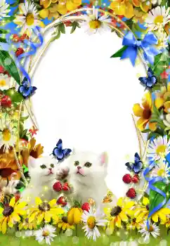 Εφέ φωτογραφιών στην κατηγορία Διαφορετικές № 93351