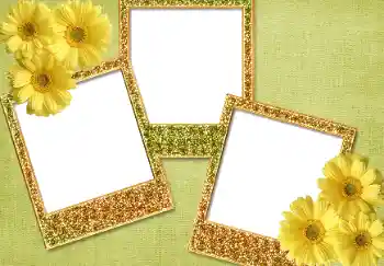 Εφέ φωτογραφιών στην κατηγορία Διαφορετικές № 93371