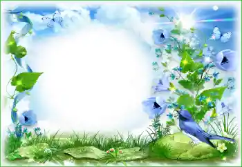 Εφέ φωτογραφιών στην κατηγορία Διαφορετικές № 94495