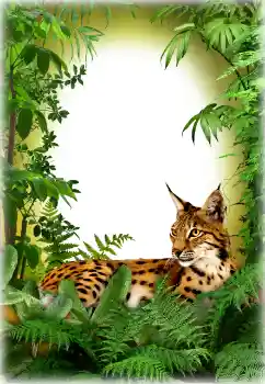 Εφέ φωτογραφιών στην κατηγορία Διαφορετικές № 94618 Εφέ φωτογραφιών στην κατηγορία Διαφορετικές № 94618