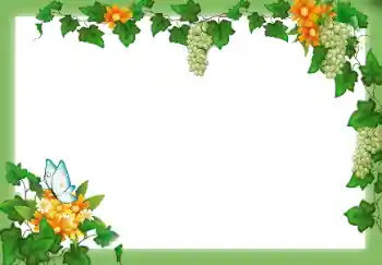 Εφέ φωτογραφιών στην κατηγορία Διαφορετικές № 9658