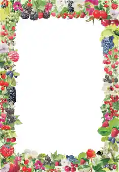 Εφέ φωτογραφιών στην κατηγορία Διαφορετικές № 9790