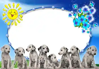 Εφέ φωτογραφιών στην κατηγορία Διαφορετικές № 9907