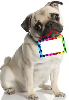 Εφέ φωτογραφιών στην κατηγορία Διαφορετικές № 99781 Εφέ φωτογραφιών στην κατηγορία Διαφορετικές № 99781