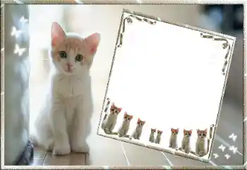 Εφέ φωτογραφιών στην κατηγορία Διαφορετικές № 99811 Εφέ φωτογραφιών στην κατηγορία Διαφορετικές № 99811