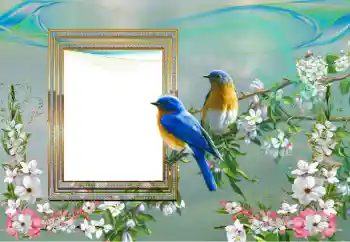 Εφέ φωτογραφιών στην κατηγορία Διαφορετικές № 99895 Εφέ φωτογραφιών στην κατηγορία Διαφορετικές № 99895