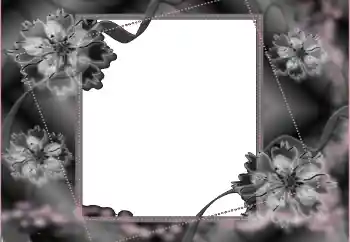 Εφέ φωτογραφιών στην κατηγορία Μαύρες κορδέλες № 114453