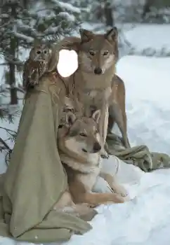 Εφέ φωτογραφιών στην κατηγορία Για γυναίκες № 129849